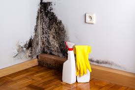 Best Commercial Mold Inspection  in Pojoaque, NM